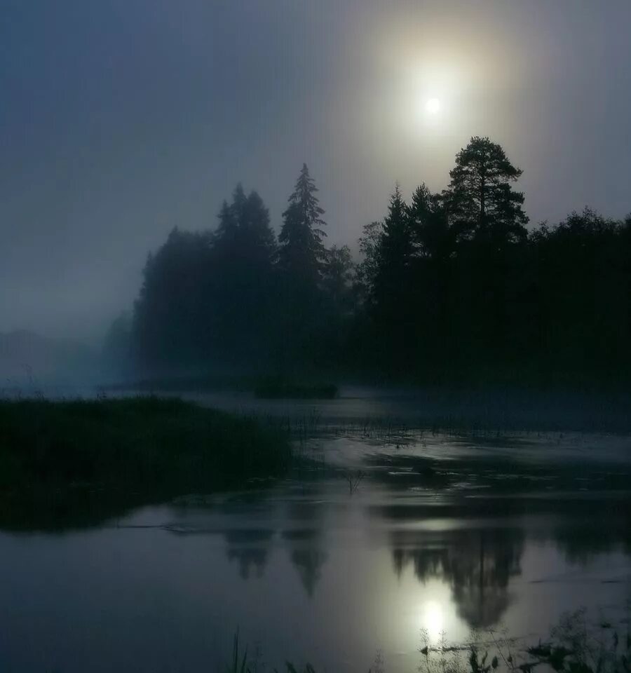 Пелена сна. Уснуло озеро безмолвен лес Фет. Лунный пейзаж. Ночные пейзажи природы. Ночное озеро.