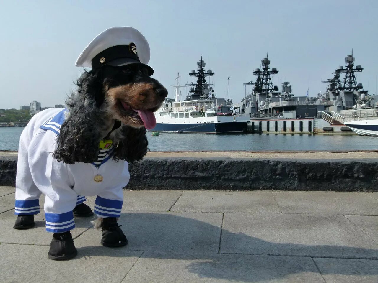 Моряк из йорка