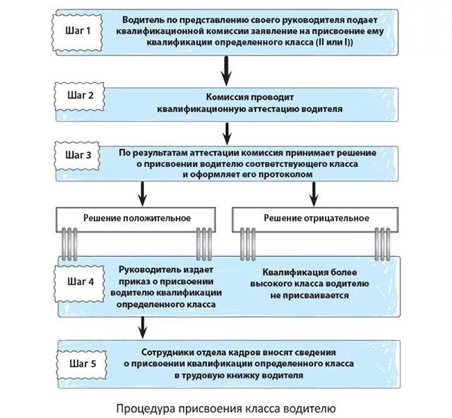 Процесс присвоения каждому документу. Процедура присвоения классности водителям. как присваивается классность водителям. категории водителя для присвоения классности. представление на присвоение классности водителю.
