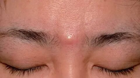 Әйелдер төрт аяқпен жорғалайды порно