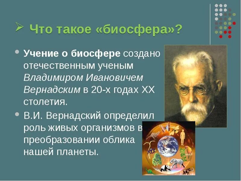 Русский ученый создавший биосферу. Автор учения о биосфере. Представление Вернадского о биосфере.