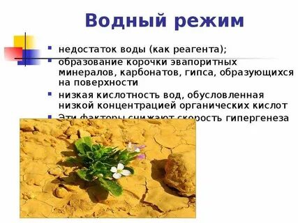 Водный режим