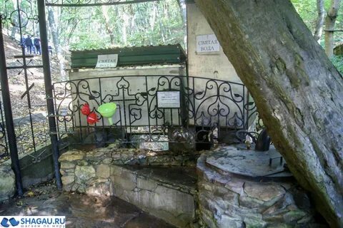 Мощи феодосия кавказского