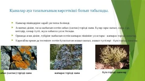 Монах әйелдерімен көп порно