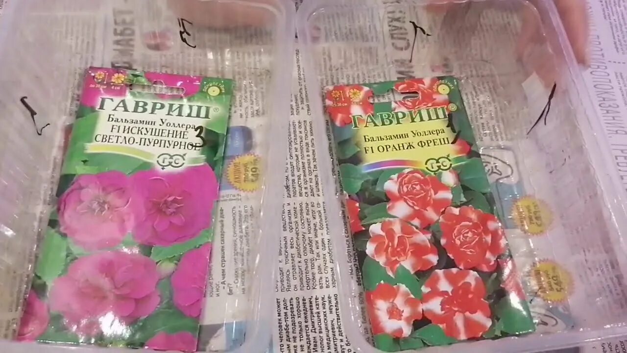 Влажные семена