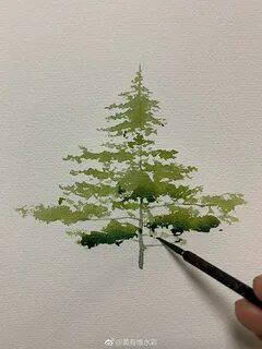 Кисть ели