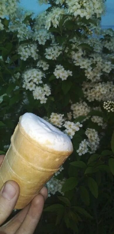 объем ведра воды. сосуд емкость. задания бочонки. с бочками. форт боярд часы.