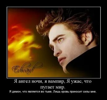 Цитаты про сумерки