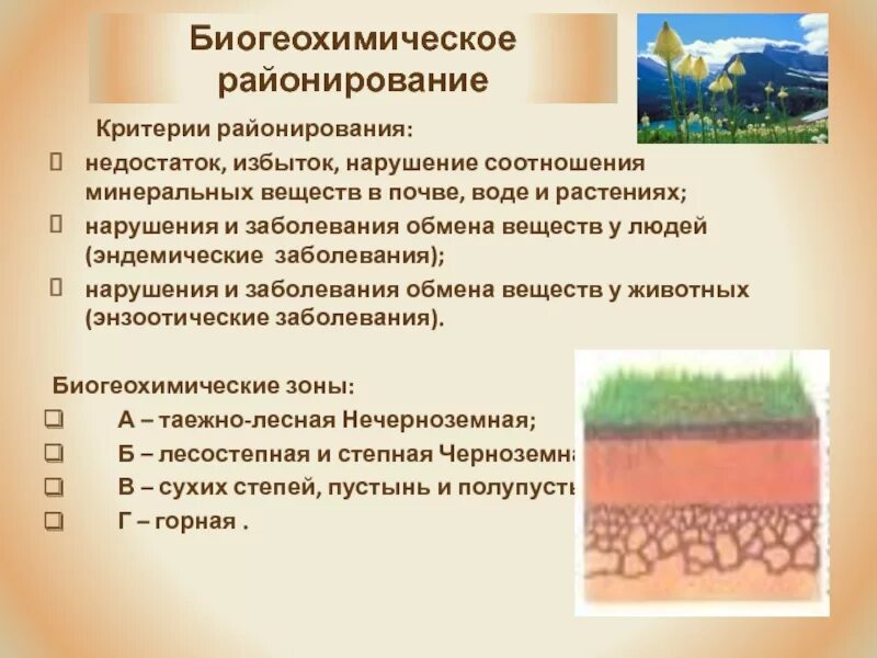 Эпидемиологическое значение почвы