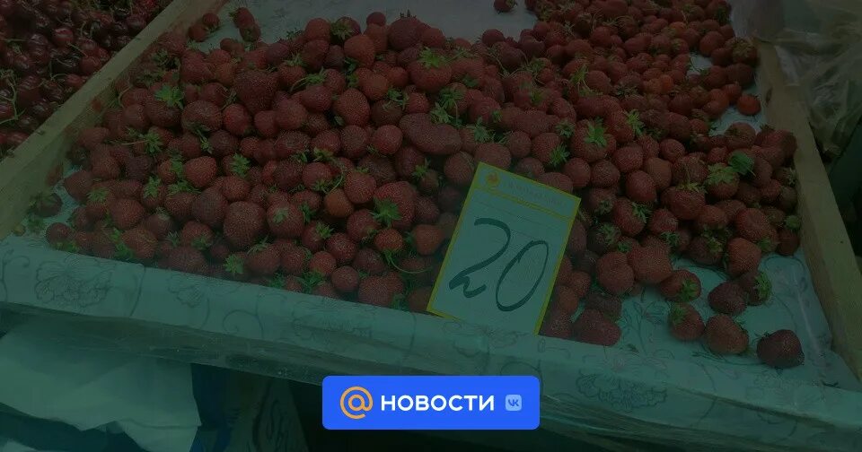 Цены на фрукты 2024. Овощи и фрукты на базарах продают. Школьник продают ягоду на рынке. Хабаровский Центральный рынок какие сейчас ягоды продают. Торгует овощами из Мерседеса.