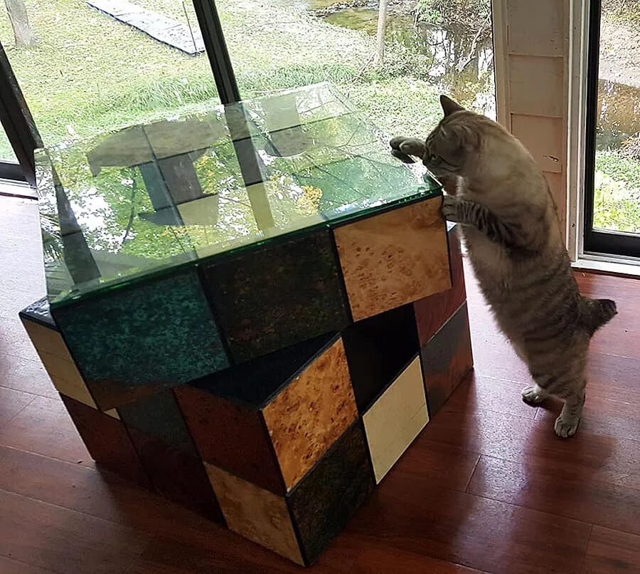 Cube cats. Кот кубик. Котик с кубиком Рубика. Кошка и кубик Рубика. Кошка с кубиками.