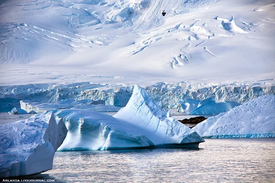 Эребус антарктида. Шельфовые ледники антарктиды. Айсберги антарктиды. Горы антарктического полуострова. Экспедиция кусто в антарктиду.