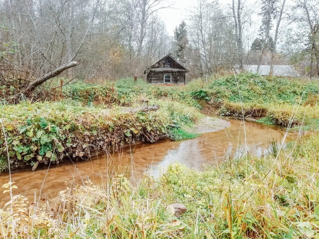 Береж м. Река Остречина Бежецкого района. Водоёмы Бежецкого района. Тверская область Бежецкий район деревня Дуброво. Костерино Бежецкий район.