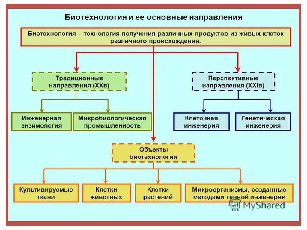 Методы направления биотехнологии. Основными направлениями биотехнологии являются. Биотехнология и ее основные направления. Направления биотехнологии таблица. Основные направления и методы биотехнологии.