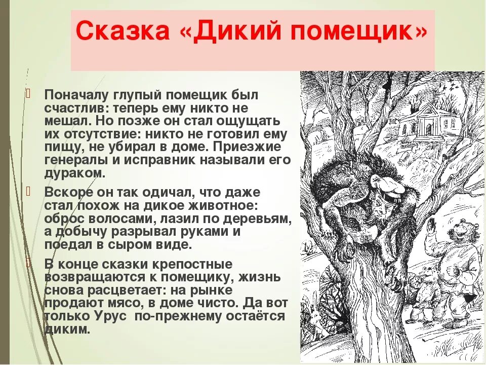 Краткое содержание глупая. Анализ сказки Салтыкова-Щедрина дикий помещик. Своеобразие сказки дикий помещик Салтыков-Щедрин. Анализ сказки Салтыкова Щедрина. Иллюстрация к произведению дикий помещик Салтыков Щедрин.