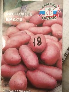 Элит сорт