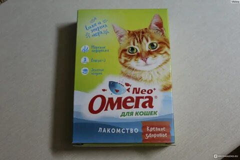 Нео кошка