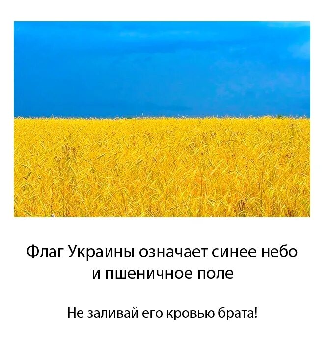 Что означает на украинском