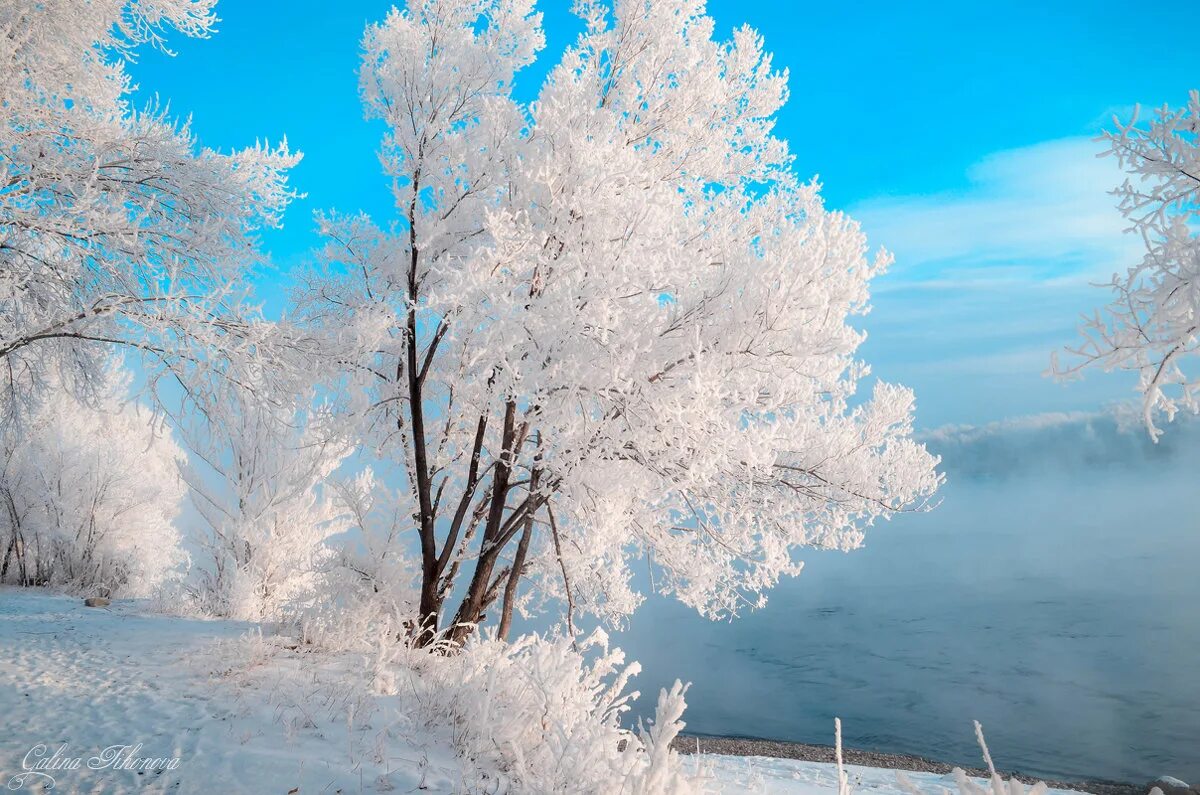 Снежок утром. Снежное утро. Морозное утро. Зимнее дерево в свете. Мартовское утро морозное.