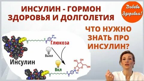 5 инсулин гормон