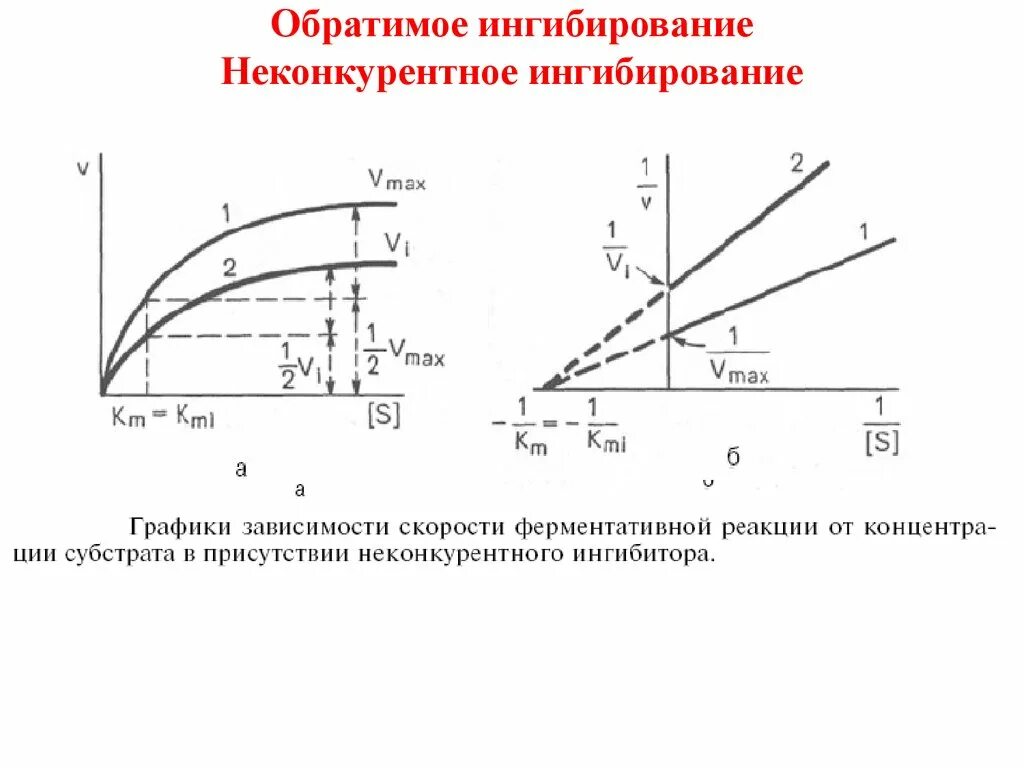 Обратимое конкурентное ингибирование график. Обратимое бесконкурентное ингибирование. Типы ингибирования графики. Ингибирование активности ферментов неконкурентное.