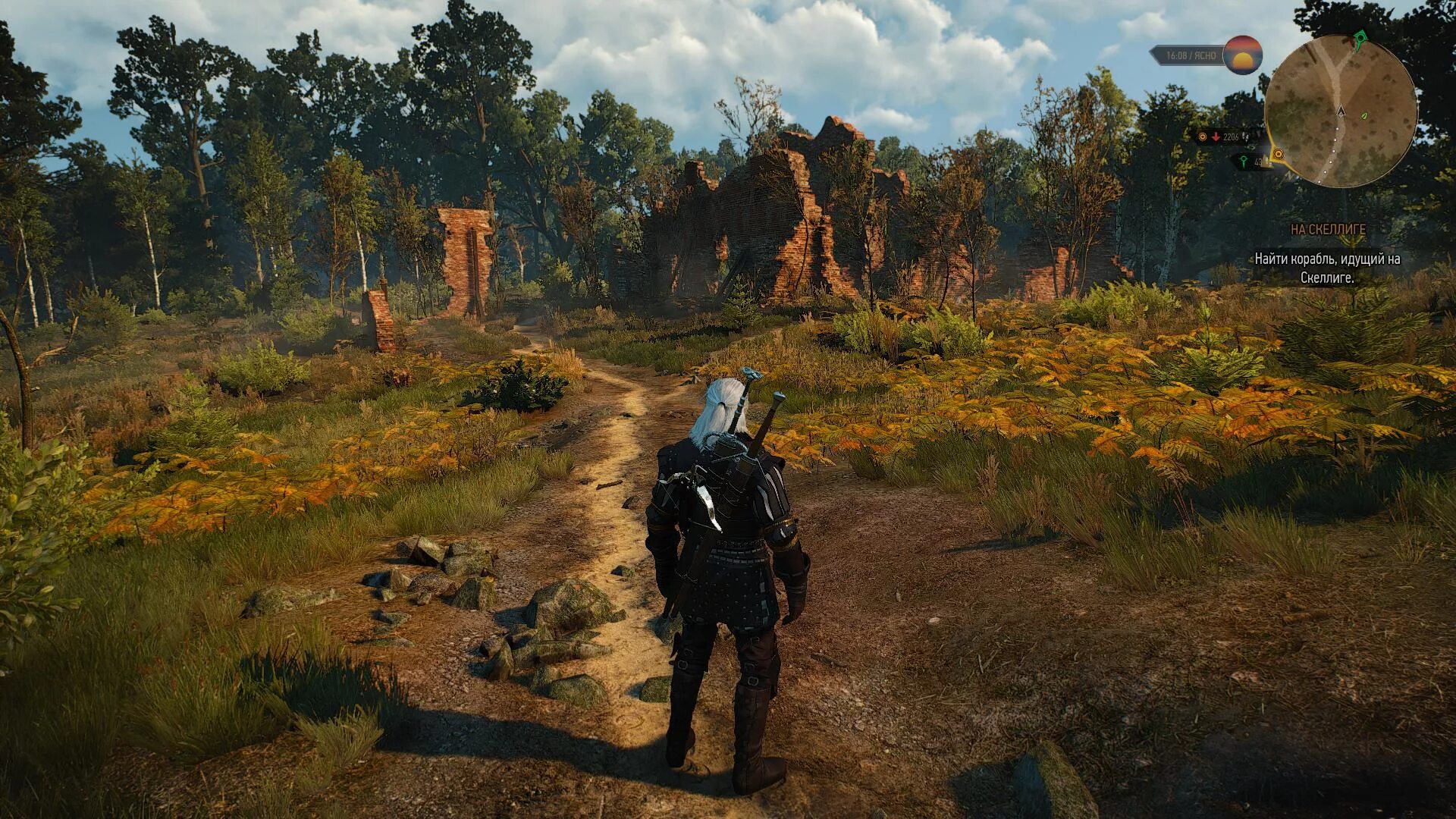 Ведьмак 3 задание найти повозку где поводка. Велен ведьмак 3. Ведьмак 3 велен леса. Деревня ведьмак велен. Велен ведьмак 3.