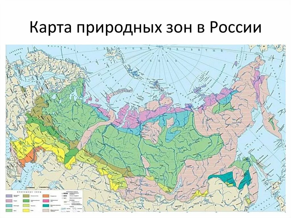 Карта природных зон Российской Федерации. Географическая карта России с природными зонами. Карта природных зон России 8 класс география атлас. Тундра на карте России природных зон.