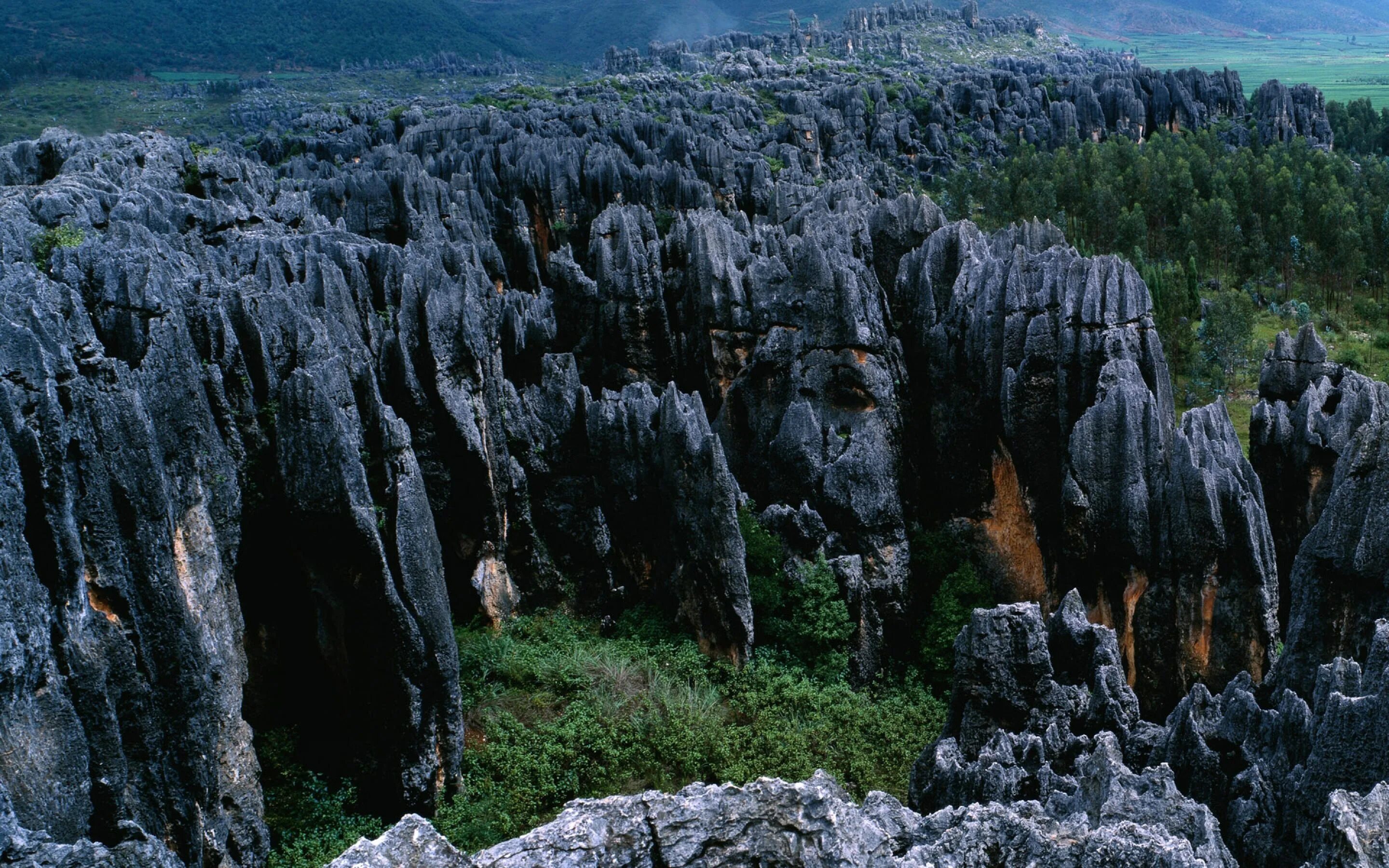 Была одной из самых острых. Шилинь, Китай. Сизиманский каменный лес. Блэк-рок-Маунтин. Каменный лес Хуангуан.