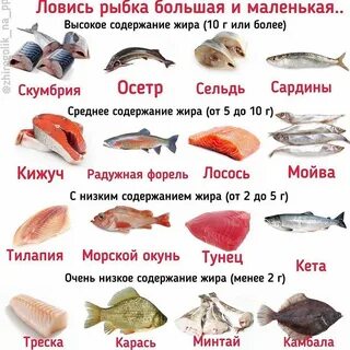Видов меньше всего