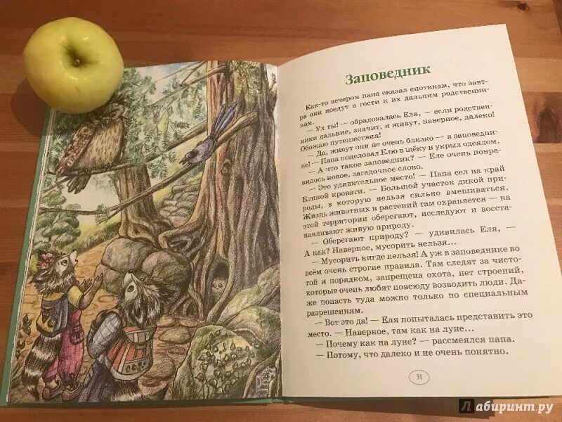 Еня и еля. Еня и еля. Еня и еля волшебная экология оглавление. Еня и еля. Первые истории.