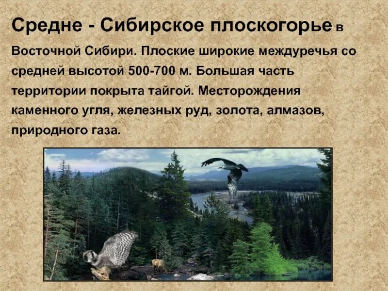 Средняя высота восточной сибири. Средняя Сибирское плоскогорье. Среднесибирское плоскогорье сообщение. Средняя Сибирь плоскогорье. Сообщение о плоскогорье.