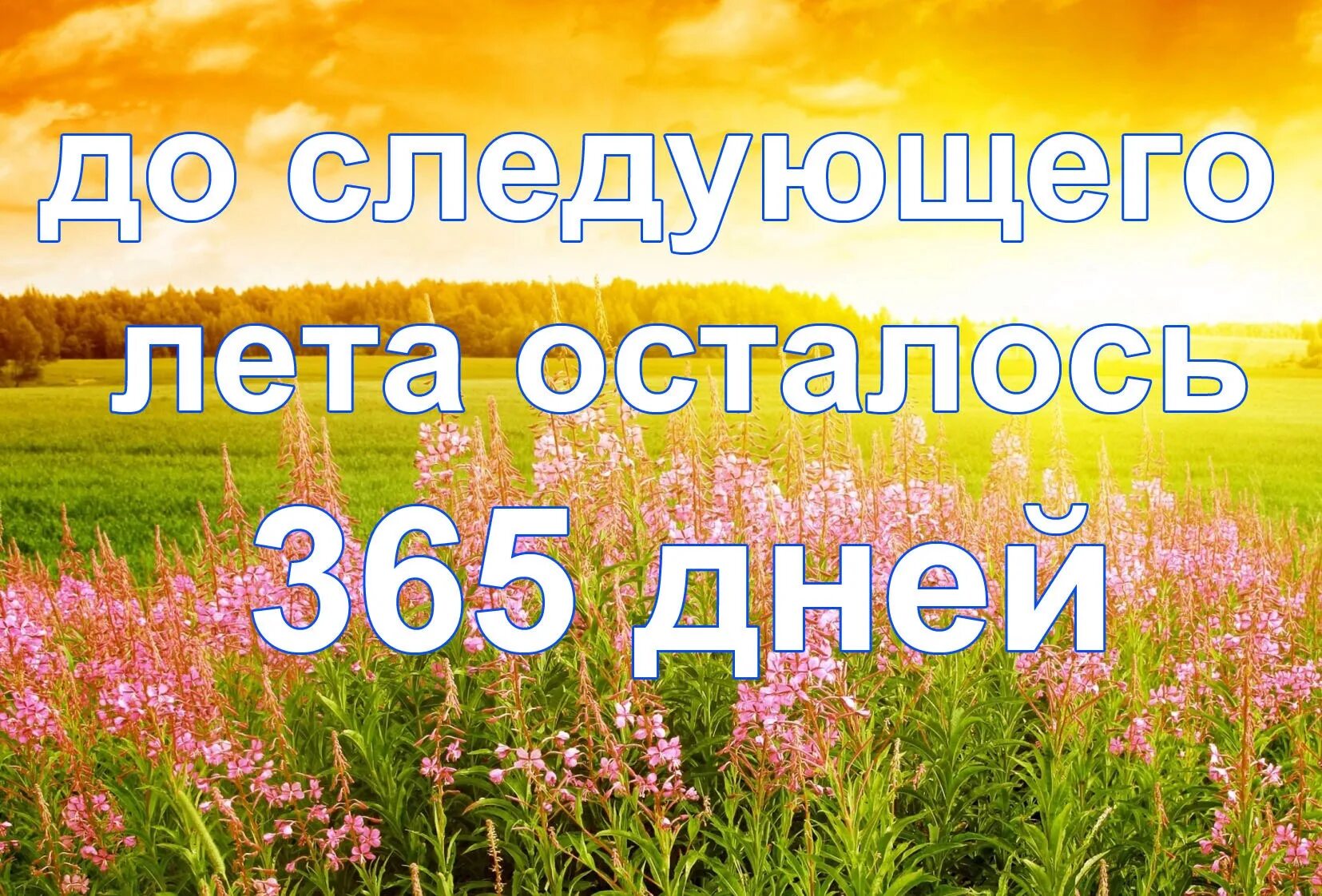 Сколько дней в последнем месяце лета. Лета осталось. Через два дня лето. Дней до лета. До лета осталось.