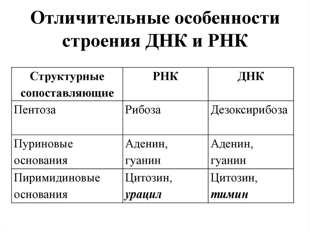 Особенности строения ДНК. Таблица строение и функции ДНК И РНК структура. Структура ДНК И РНК. Особенности структуры ДНК.