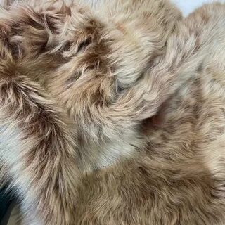 Мех какого животного