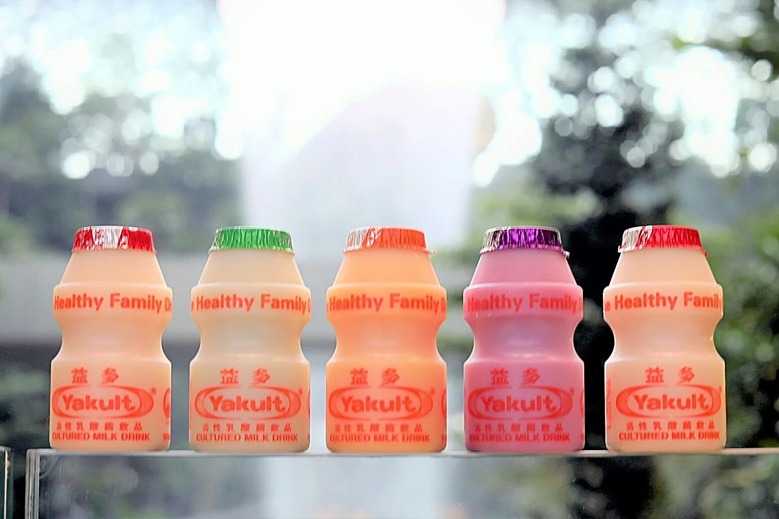 Yakult brothers team tidebound. Yakult. yakult напиток. fermented milk yakult. yakult honsha японские бады.