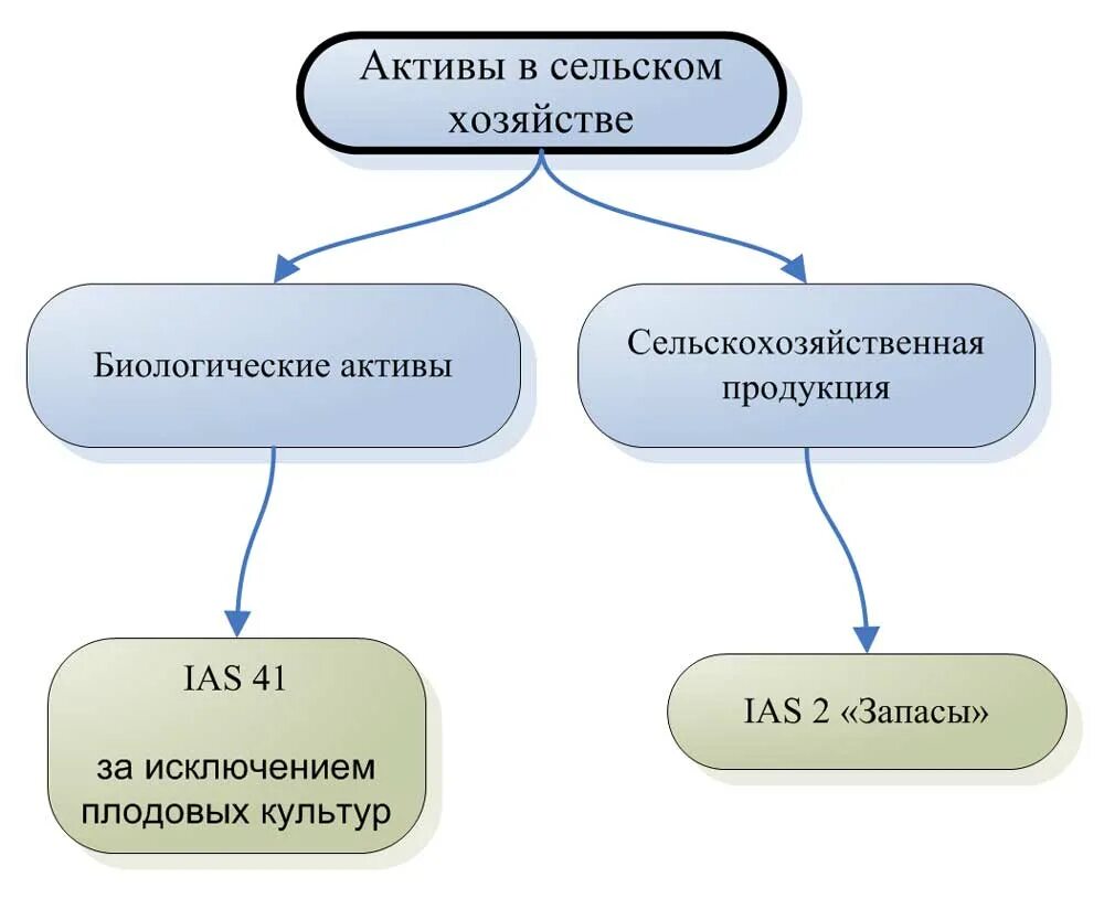 МСФО (IAS) 41 «сельское хозяйство». Классификация биологических активов. Биологические Активы в бухгалтерском учете это. Учет и классификация биологических активов.. Учет биологических активов