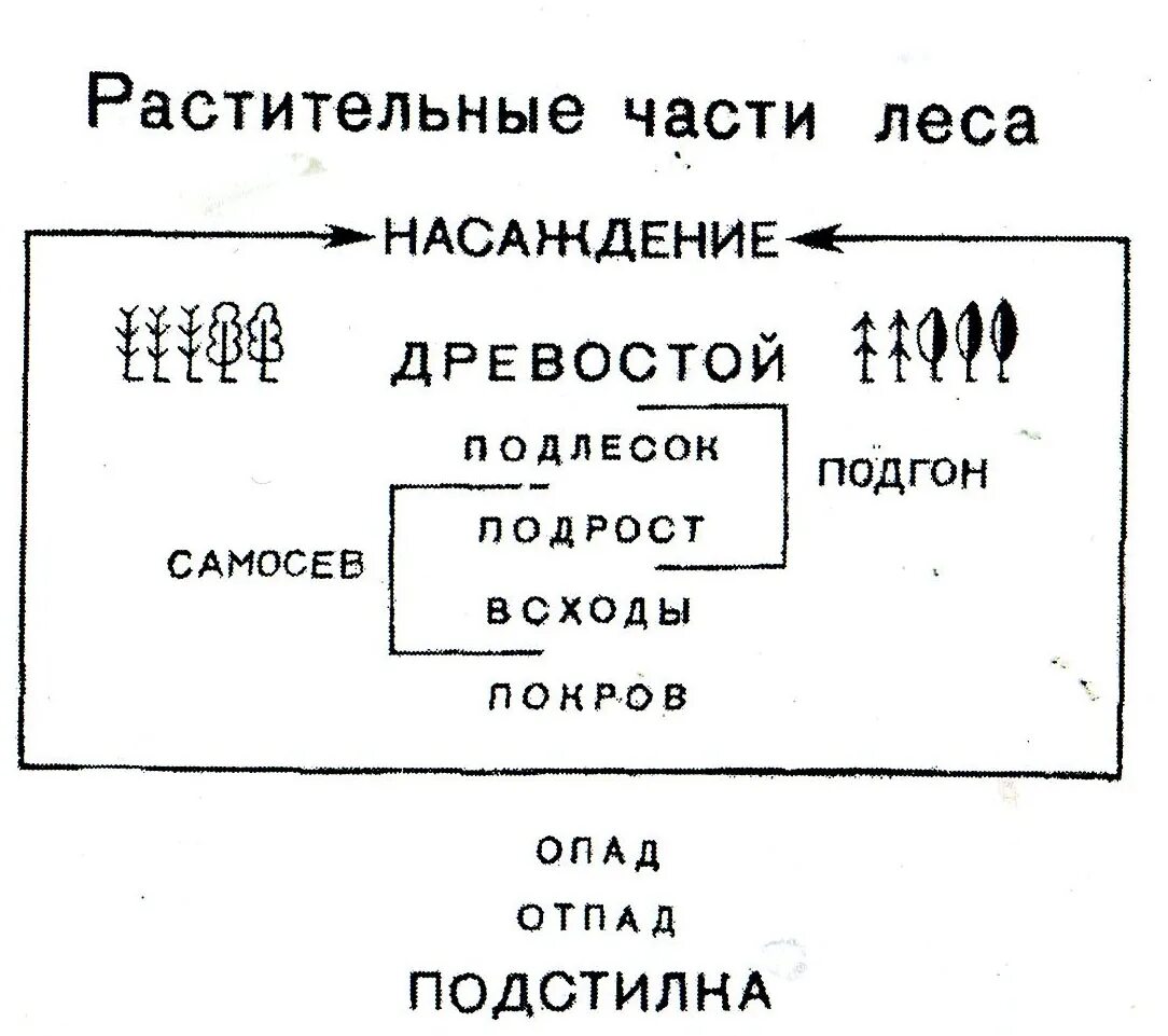 Подгон это