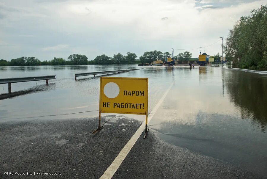 Погода на неделю в белоомуте московской. Погода на неделю в белоомуте московской