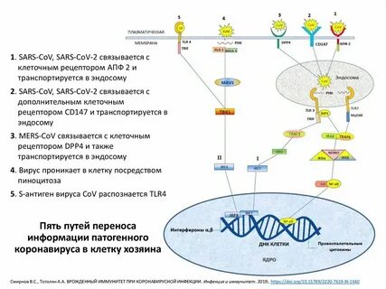Структуры перенос