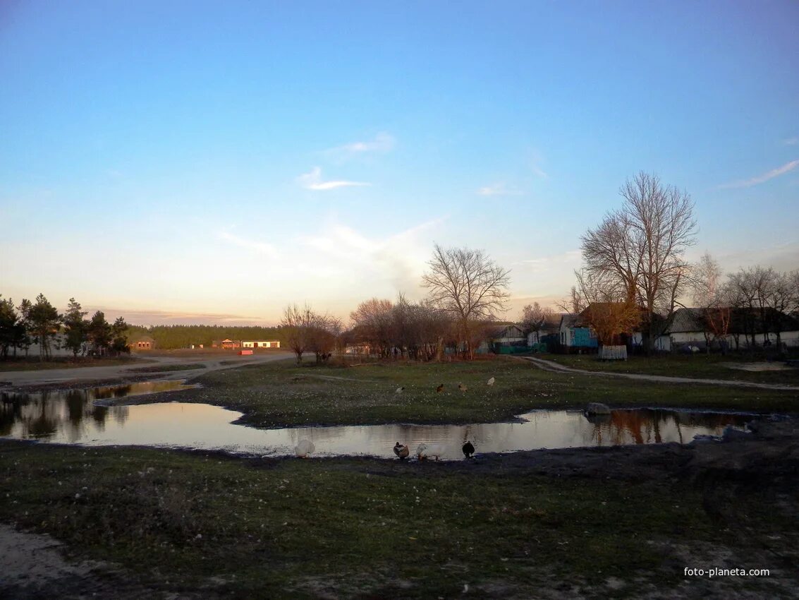 Село верхопенье белгородской. Село череново белгородская область. Череново белгородская область. Село череново белгородская область. Село сухосолотино.