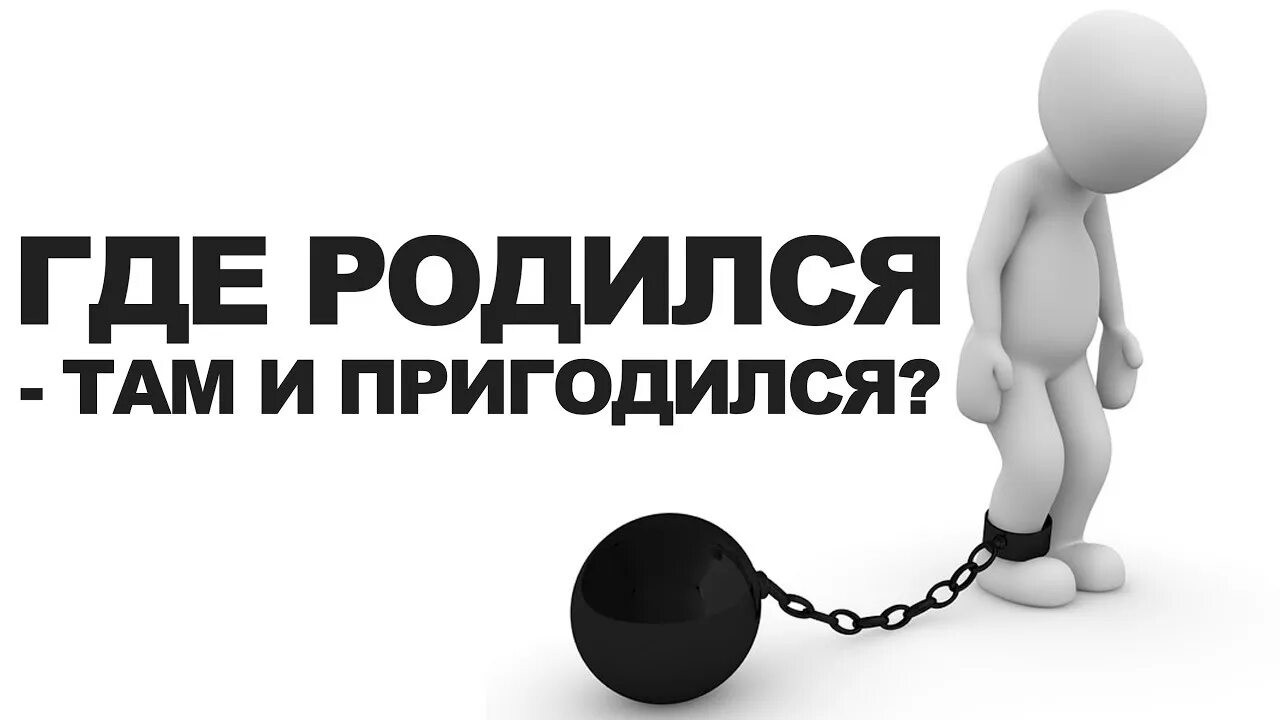 Где родился там и пригодился. Где родился там и сгодился. Где уродился там и пригодился. Где родился там и сгодился картинки.