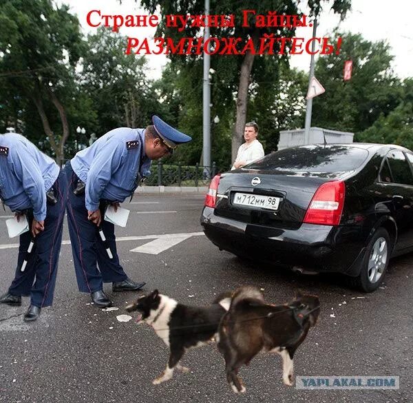 Слушать песню наша служба и опасна. Наша служба и опасна и трудна. наша служба и опасна и трудна фсб. наша служба и опасна и трудна текст. жех ваша служба и опасна и трудна.