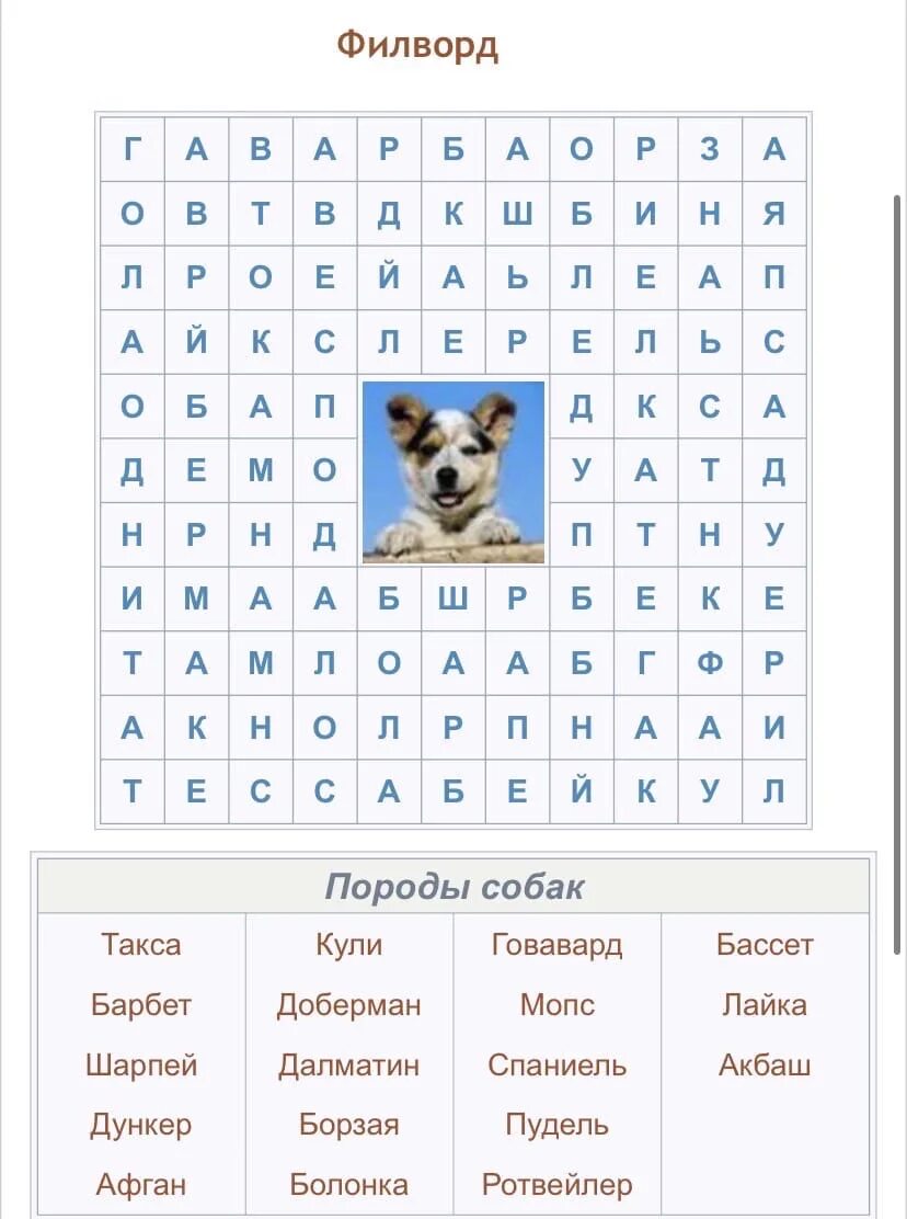 Отгадать филворд. Филворд. Филворд для детей. ФИЛФОТ. Филводр для детей 10 лет.
