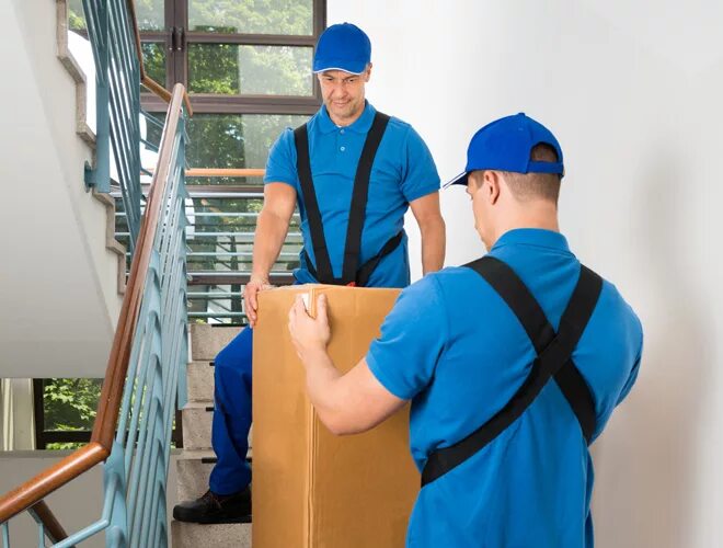 Стропальщик. Оборудование для такелажников. Такелаж для разгрузки. Проведение такелажных работ. Проведение такелажных работ.