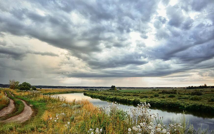 Курский край ютуб. Коренная пустынь курск. Природа сейм курск. Сейм река курской области глушковского района. Введенский храм капыстичи.