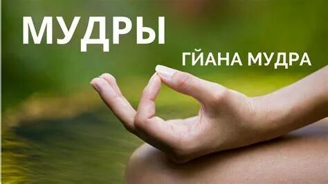 Мудра ума