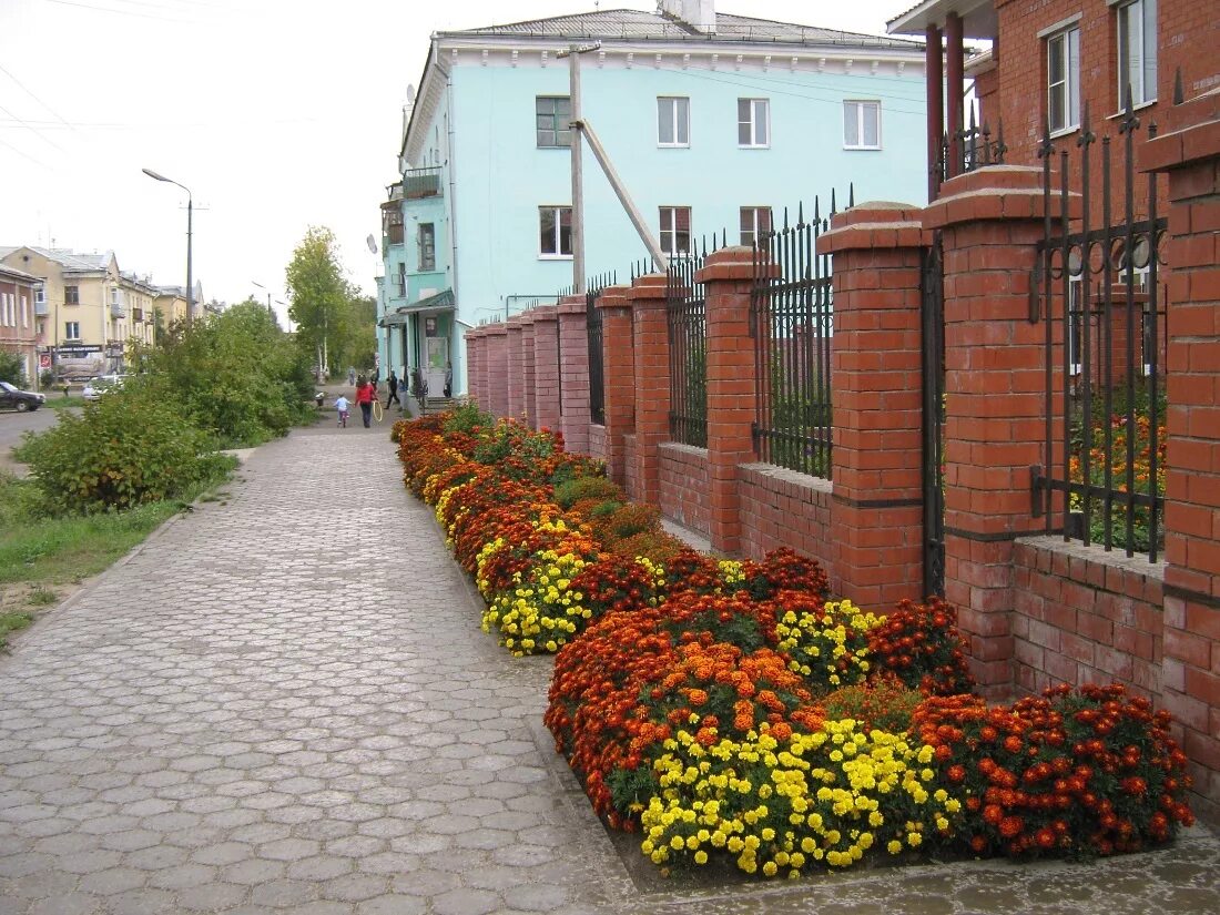 Сущенко александр николаевич. Администрация города котлас. Светлана свинобой котлас. Город котлас архангельская область. Шумилин никита константинович содружество.