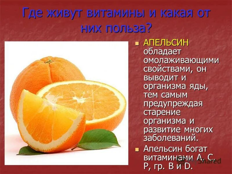 Апельсин какие витамины содержит. Польза апельсина. витамины в апельсине. презентация на тему апельсин. чем полезен апельсин для детей.