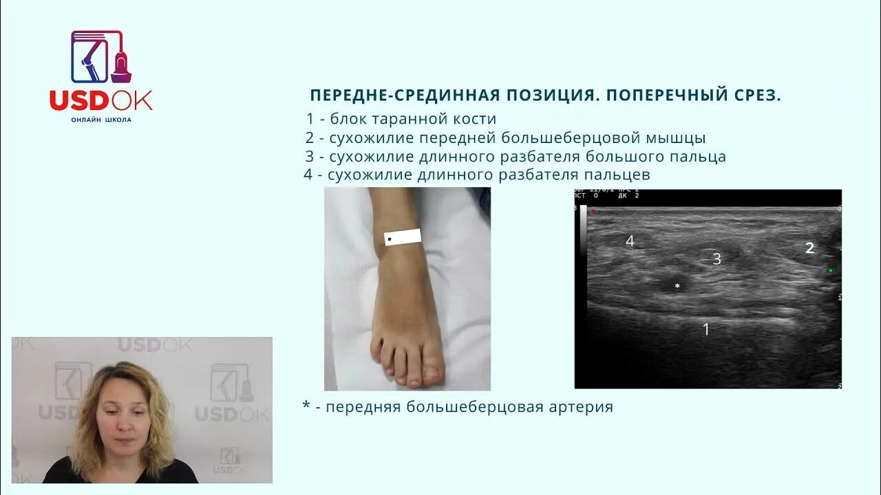 Врач узи обучение ultrasonicthyroid ru. Как проходят УЗИ суставов. УЗИ суставов обучение.