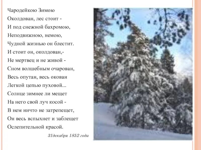 Стих тютчева про зиму. Стихотворение Чародейкою зимою Тютчев. Тютчев лес околдован. Стих ф Тютчев Чародейкою зимою. Чародейкою зимой стихотворение Тютчева.